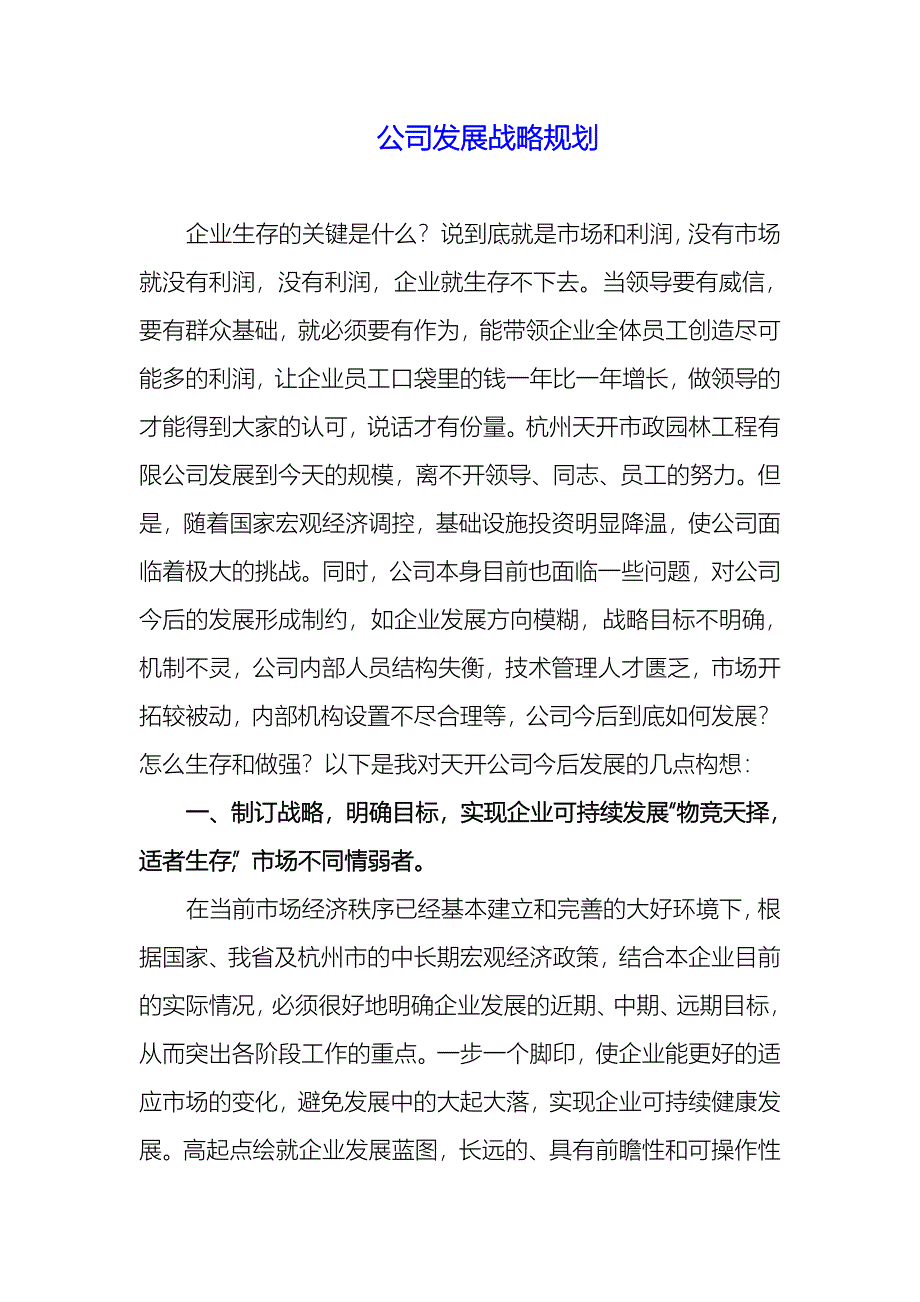 公司发展战略规划_第1页