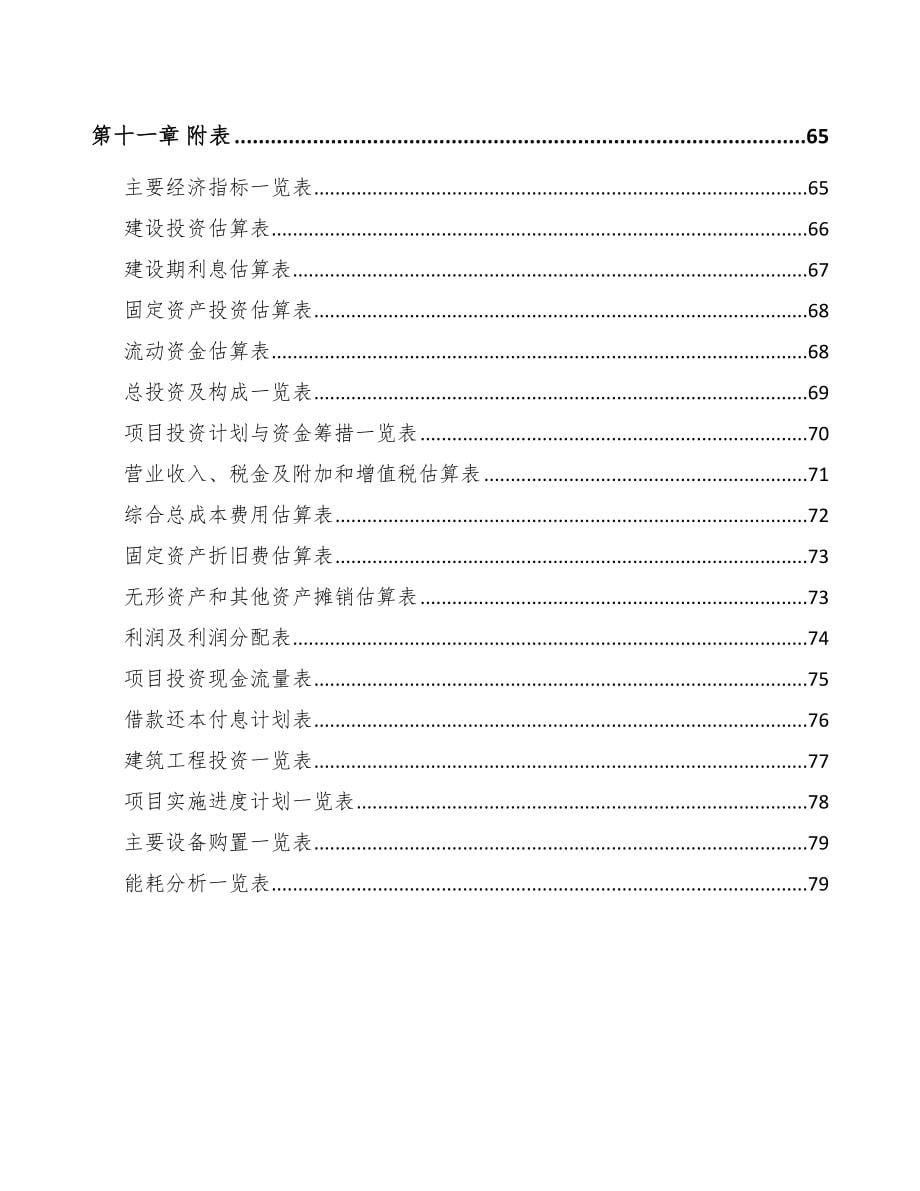 某某汽车后市场零部件项目可行性研究报告_第5页