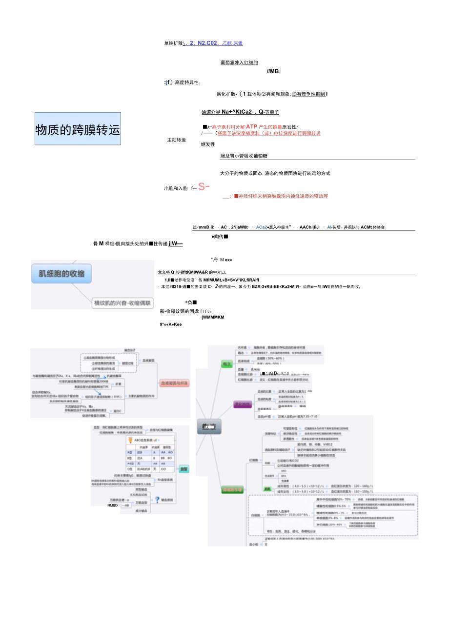生理学思维导图_第1页