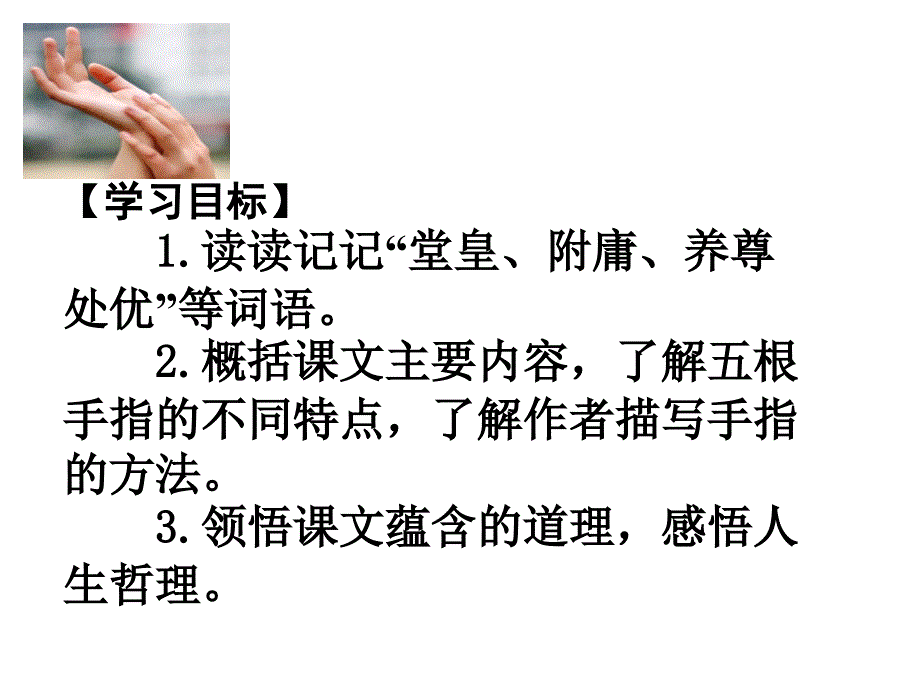 5《手指》课件_第4页