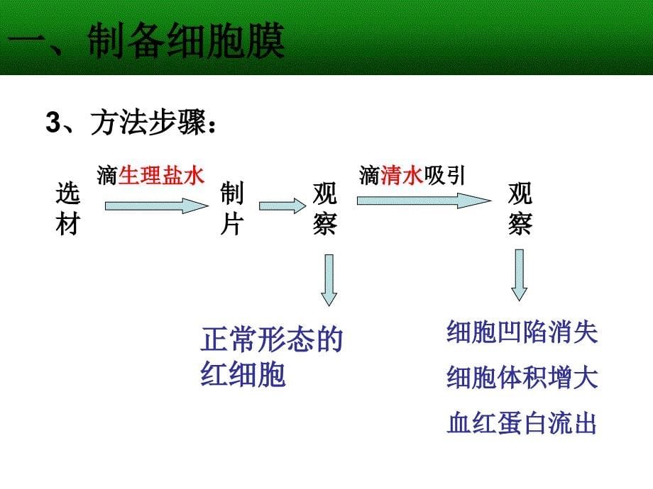 细胞的边界课件_第5页