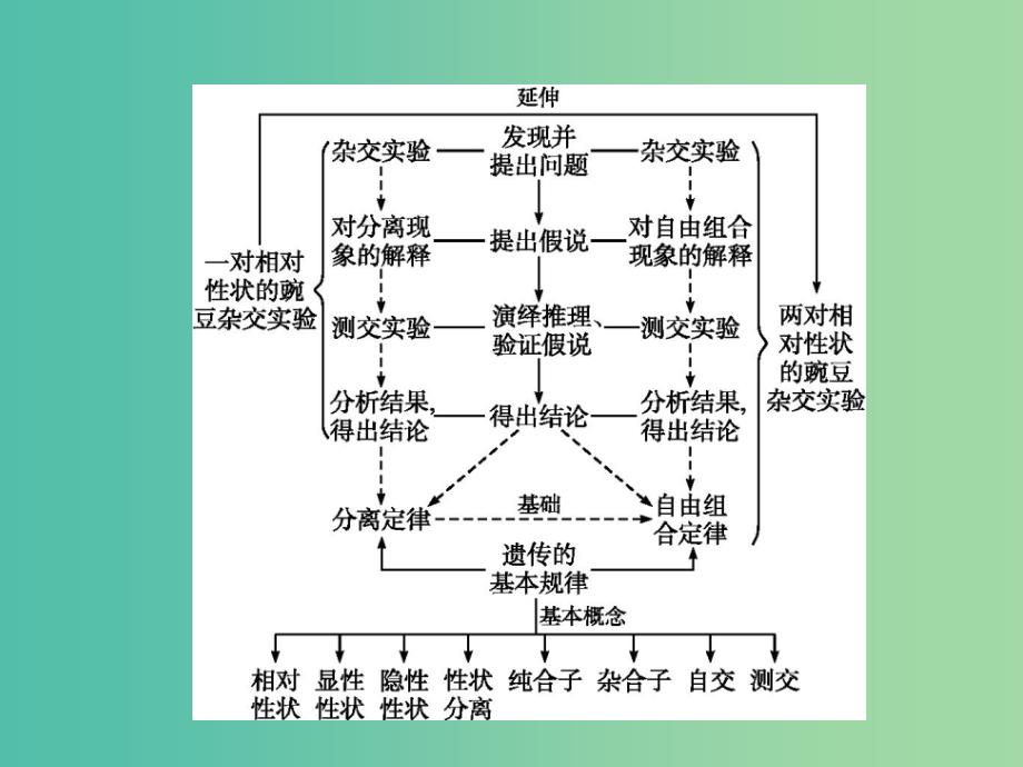 2019高中生物 第1章 遗传因子的发现专题整合课件 新人教版必修1.ppt_第2页