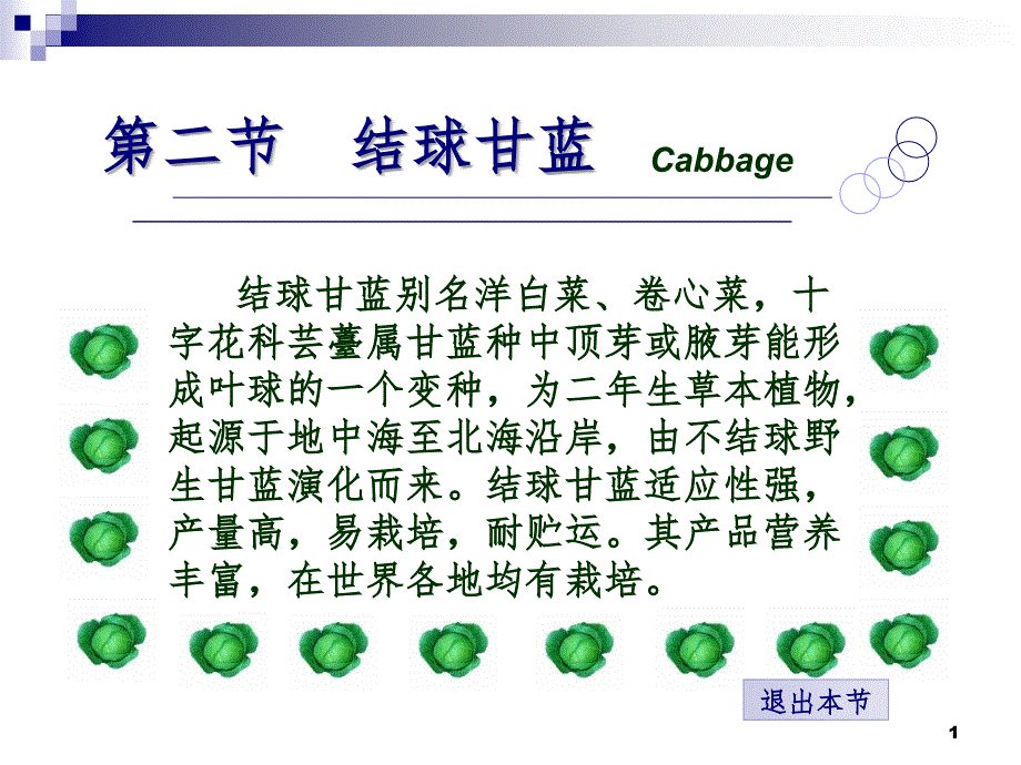 结球甘蓝PPT课件_第1页