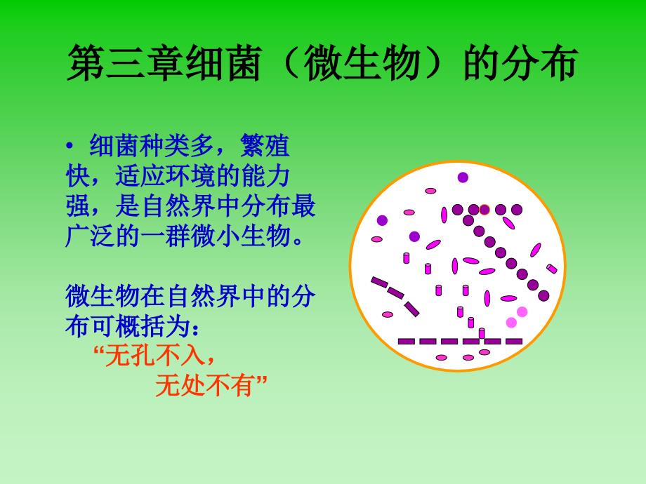 动物微生物学及免疫学课件细菌的分布_第1页