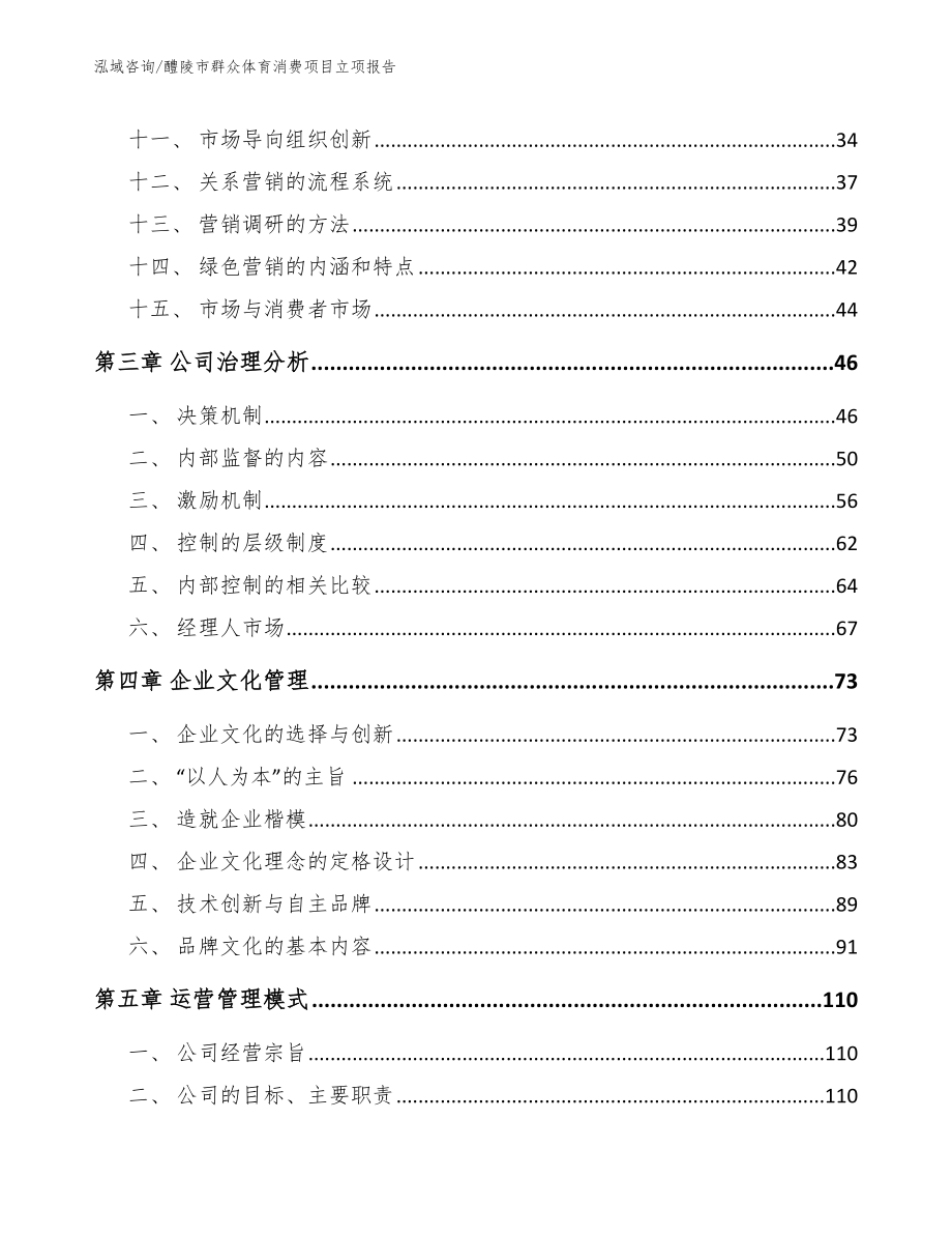 醴陵市群众体育消费项目立项报告_第3页
