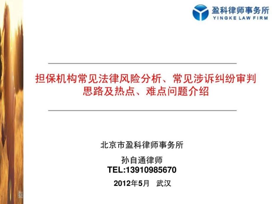 担保公司培训担保机构常见法律风险分析、常见涉诉纠纷_第1页