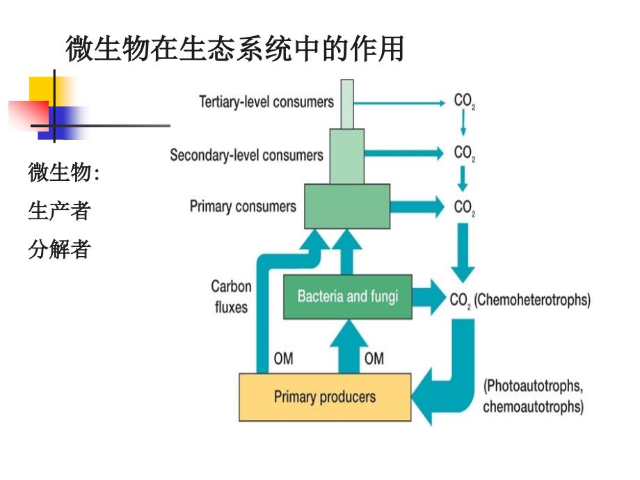 第八章微生物生态_第2页