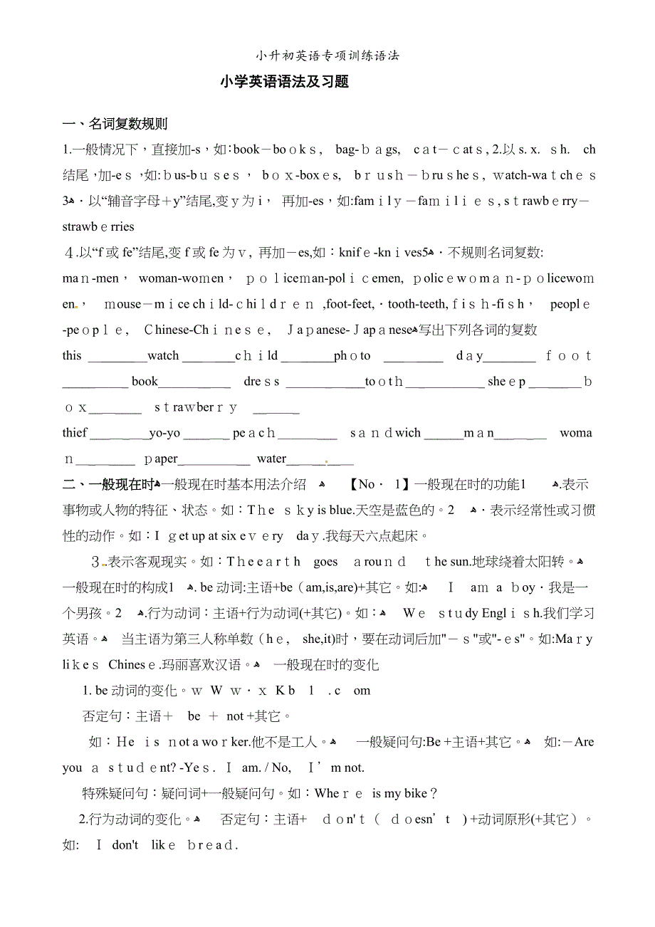 小升初英语专项训练语法_第1页