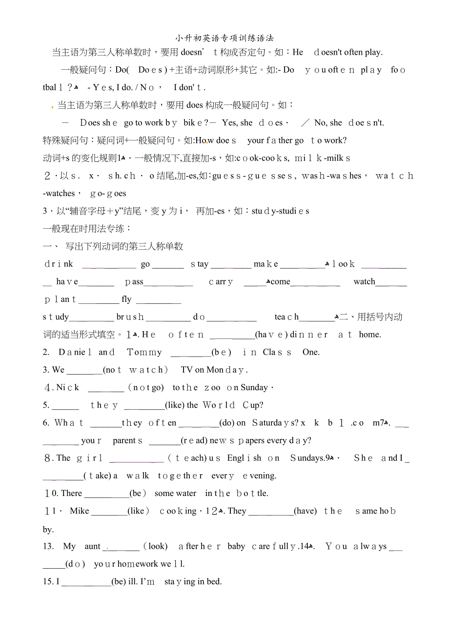 小升初英语专项训练语法_第2页