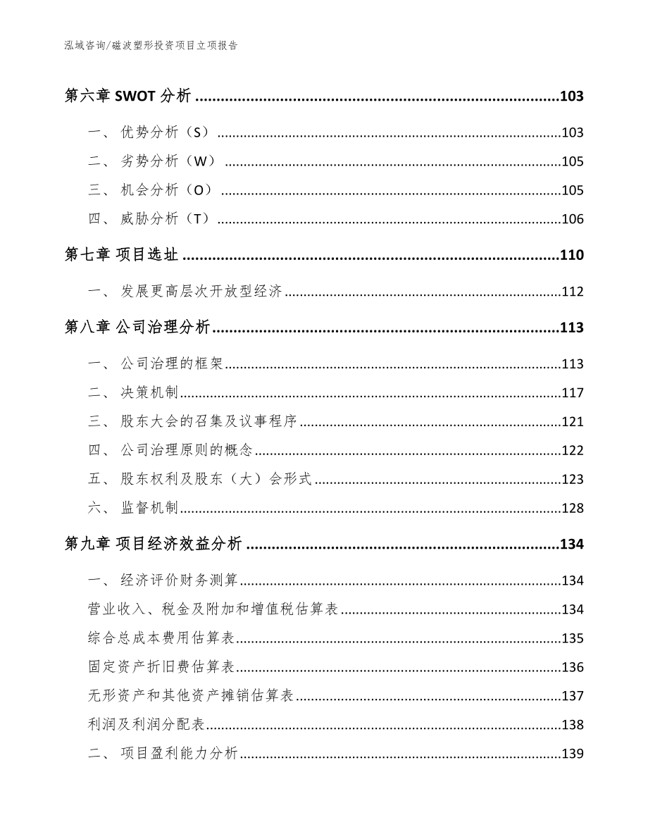 磁波塑形投资项目立项报告_范文模板_第4页