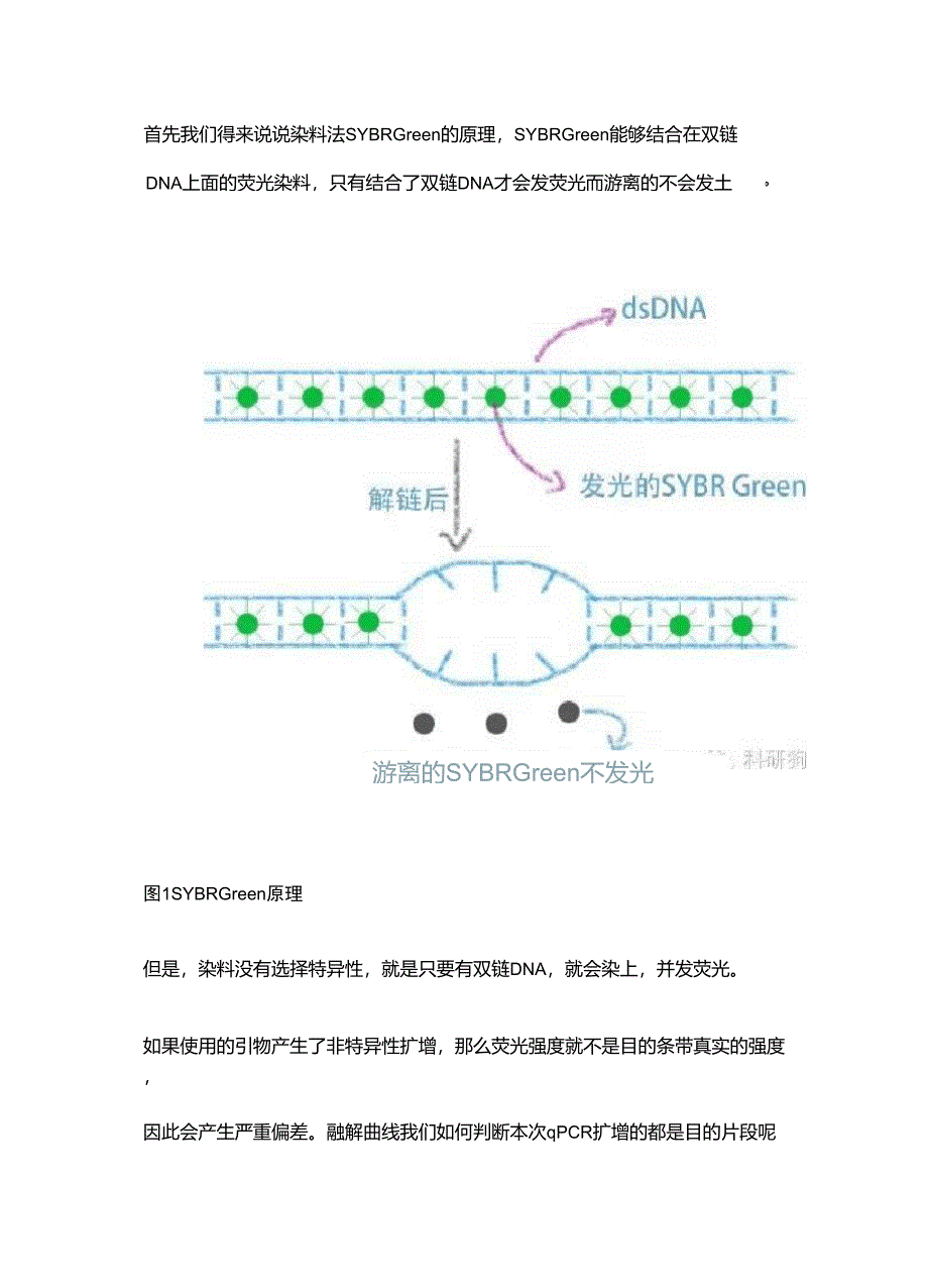 RealtimePCR溶解曲线分析_第1页