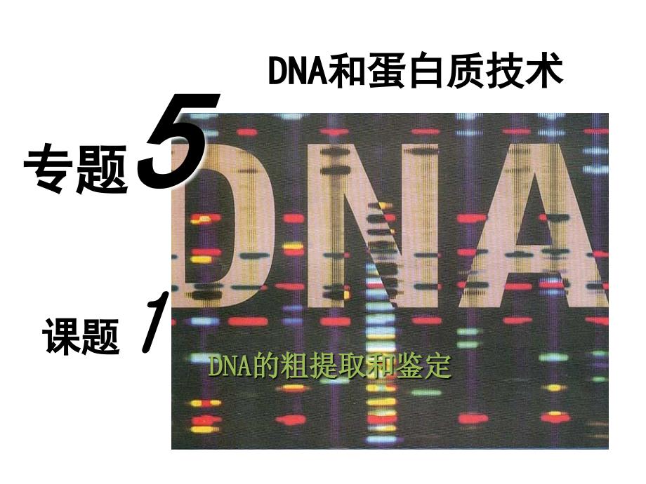 DNA和蛋白质的提取_第1页