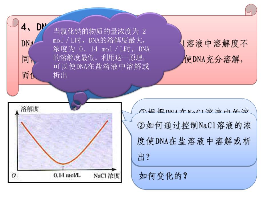 DNA和蛋白质的提取_第4页