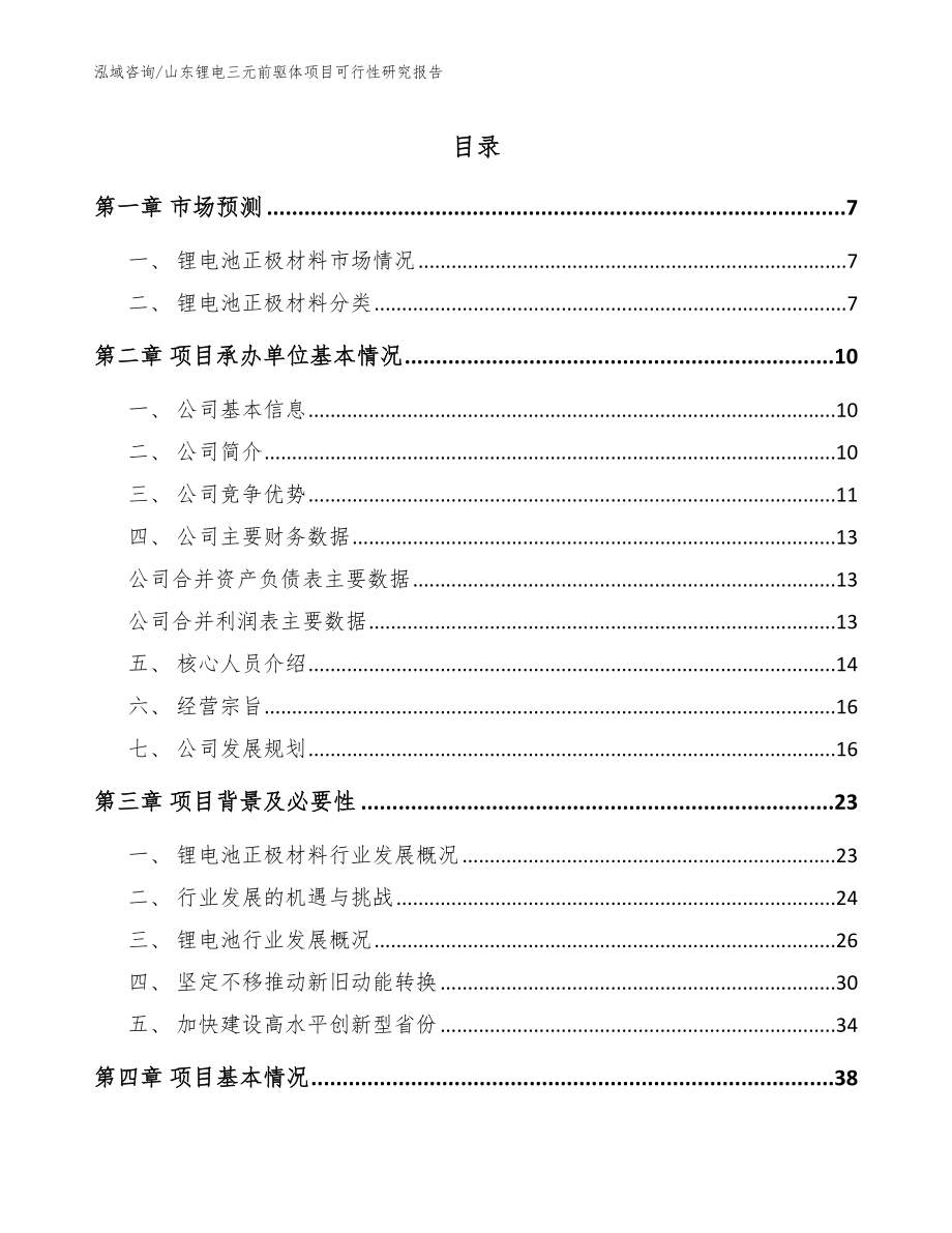 山东锂电三元前驱体项目可行性研究报告【范文】_第1页