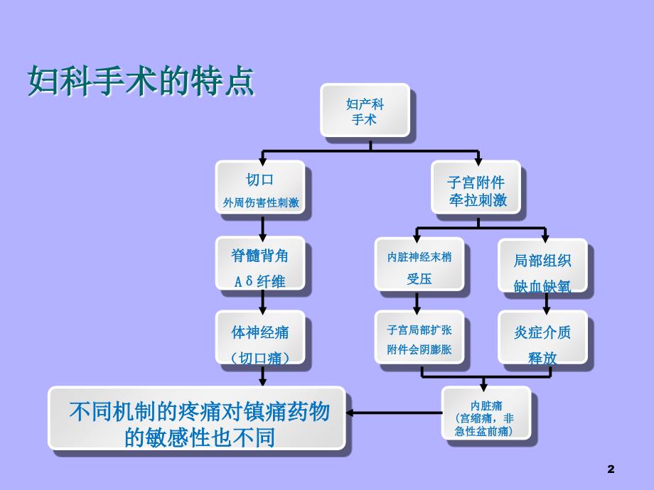 布托啡诺在妇科手术病例分享_第2页