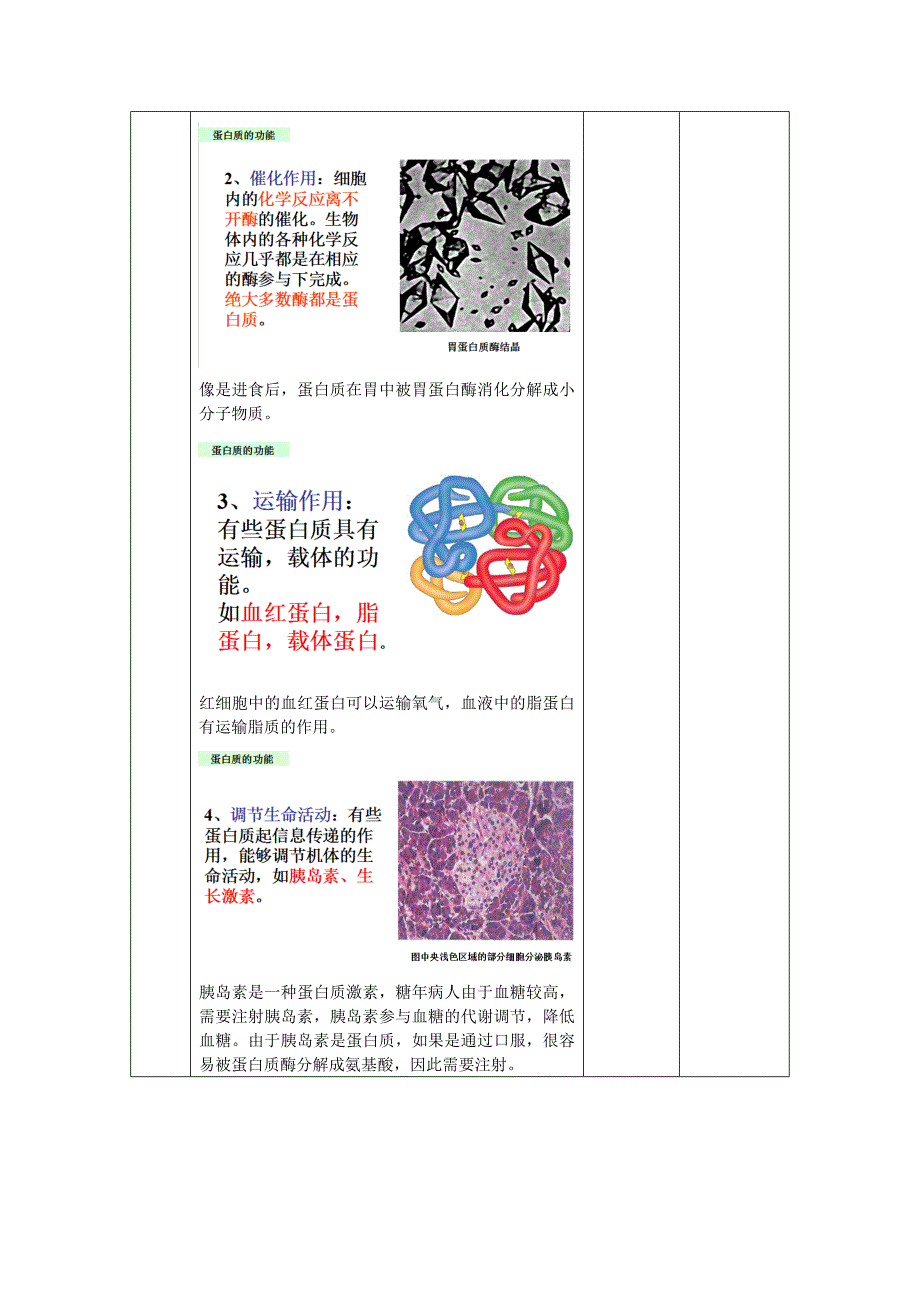 蛋白质讲课教案.doc_第4页