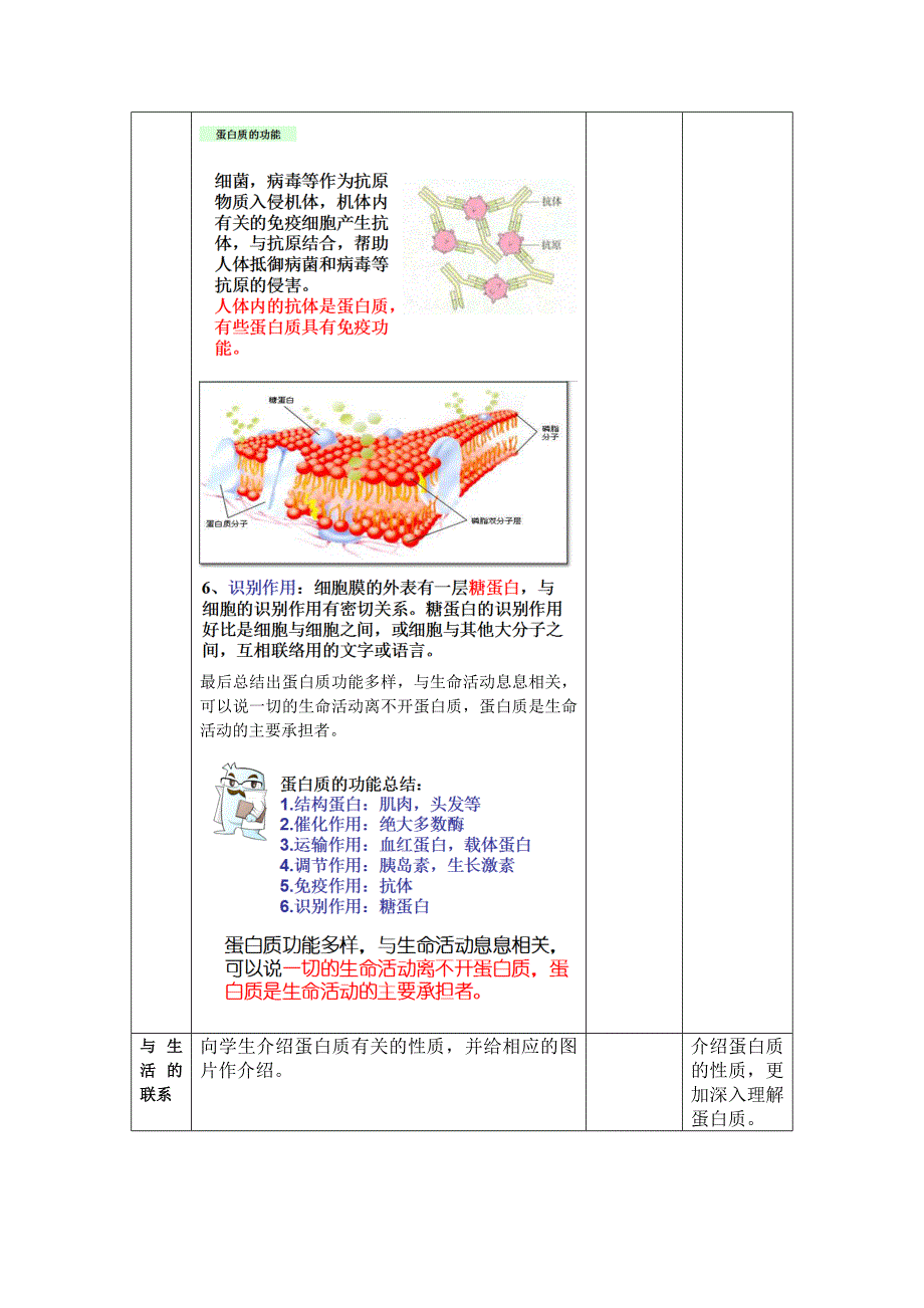 蛋白质讲课教案.doc_第5页