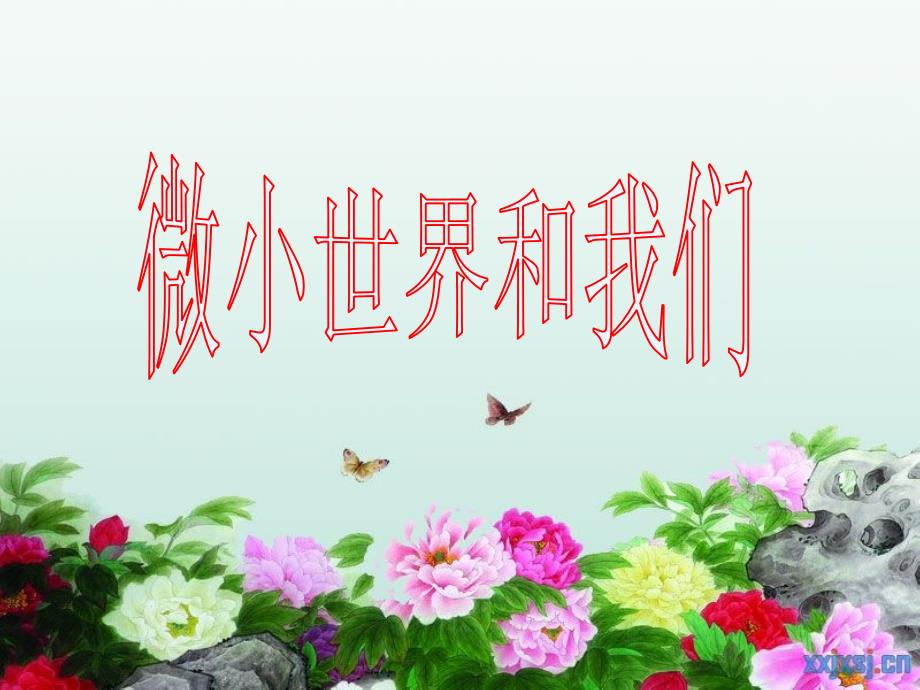 六年级科学下册课件-1.8微小世界和我们52-教科版15张_第1页
