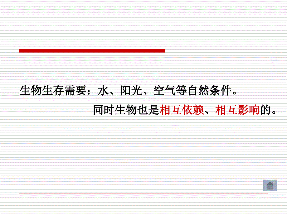 教科版科学五上食物链和物网课件_第2页