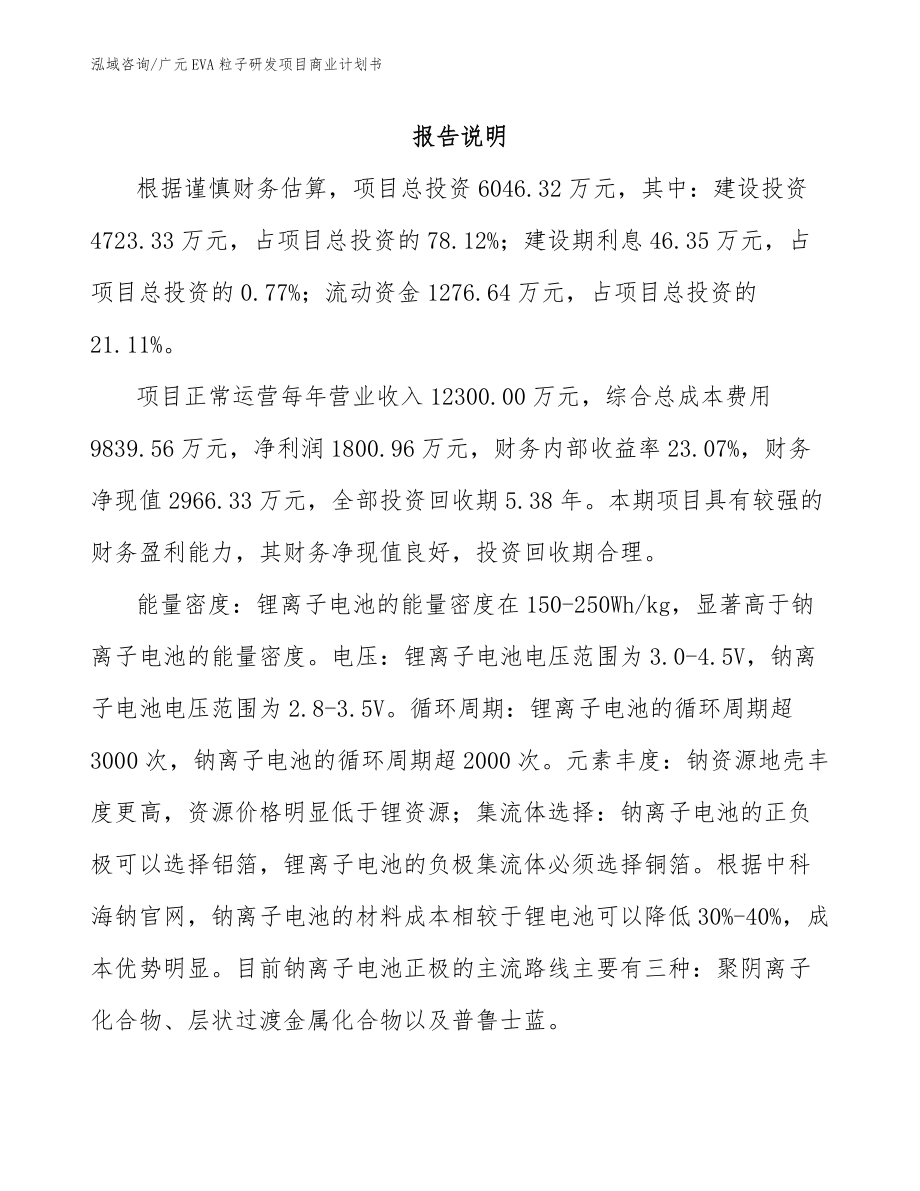 广元EVA粒子研发项目商业计划书_第2页