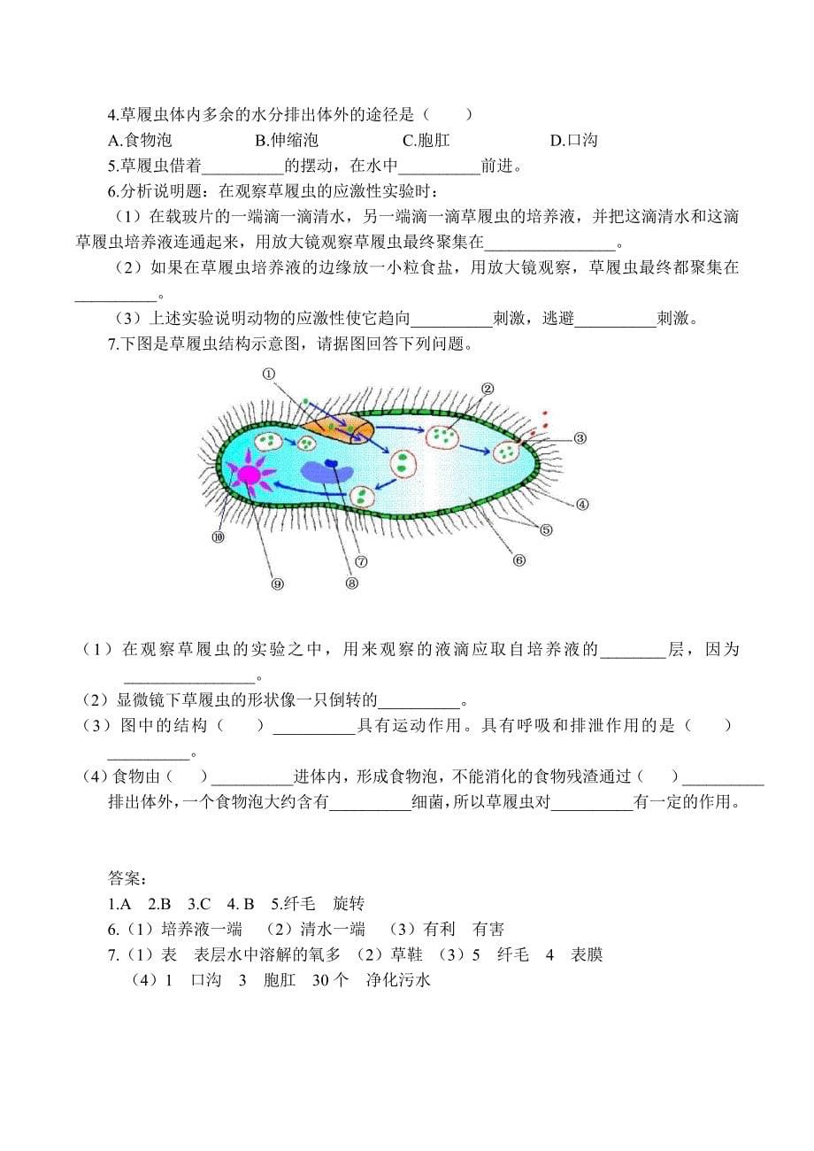 七年级生物只有一个细胞的生物体新人教版_第5页