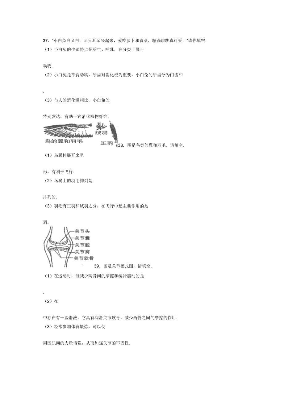 八年级（上）期末生物模拟试卷.doc_第5页