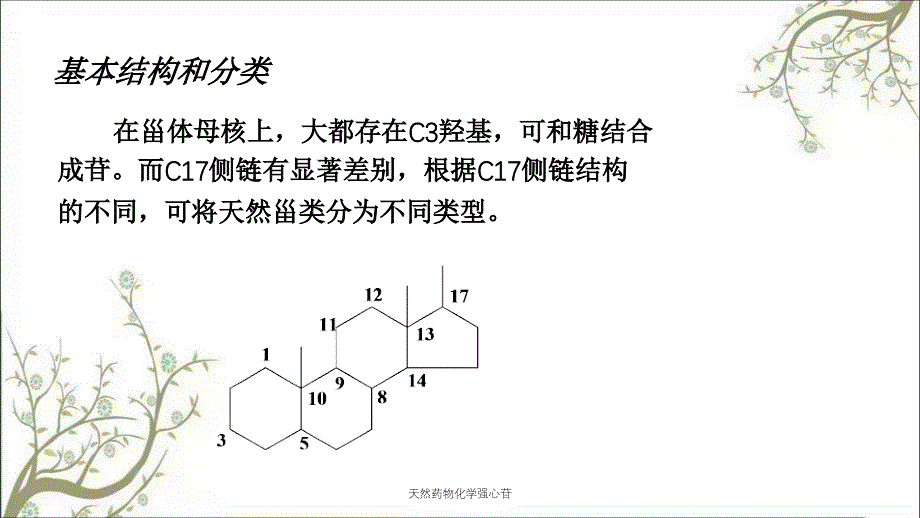 天然药物化学强心苷_第4页