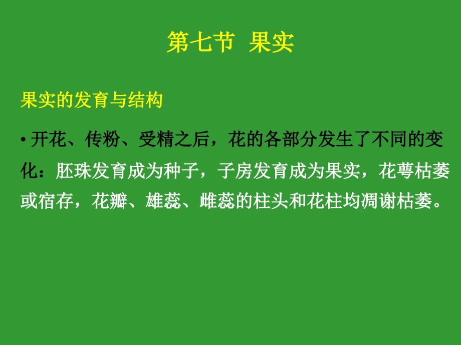 植物形态结构7果实高中生物竞赛辅导课件_第2页