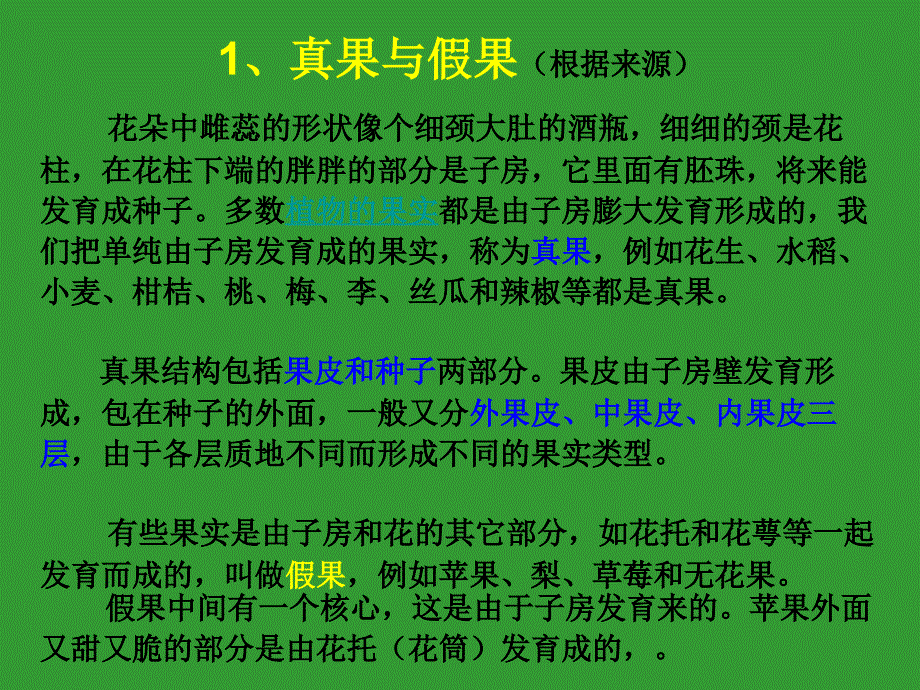 植物形态结构7果实高中生物竞赛辅导课件_第4页