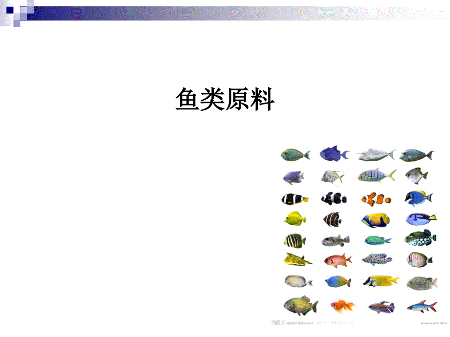 《鱼类原料》PPT课件.ppt_第1页