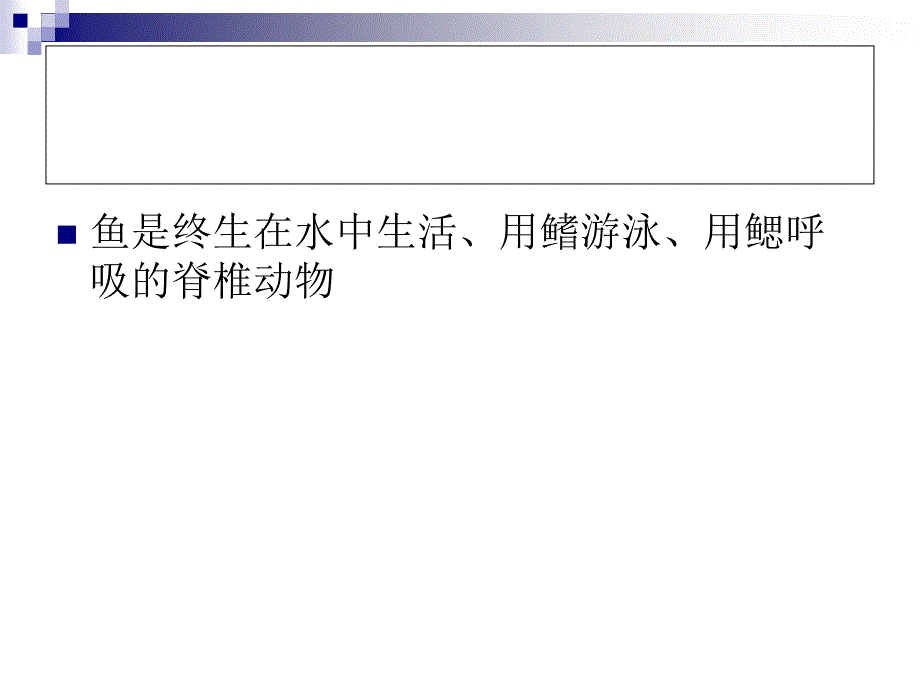 《鱼类原料》PPT课件.ppt_第3页