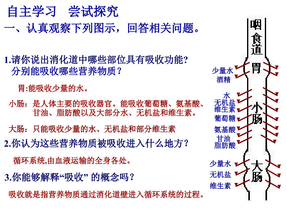 第二节消化和吸收_第4页