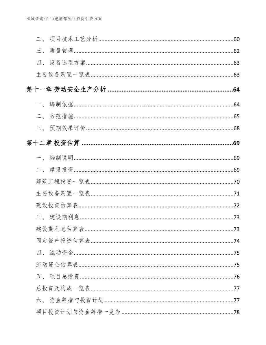 白山电解铝项目招商引资方案（模板）_第5页