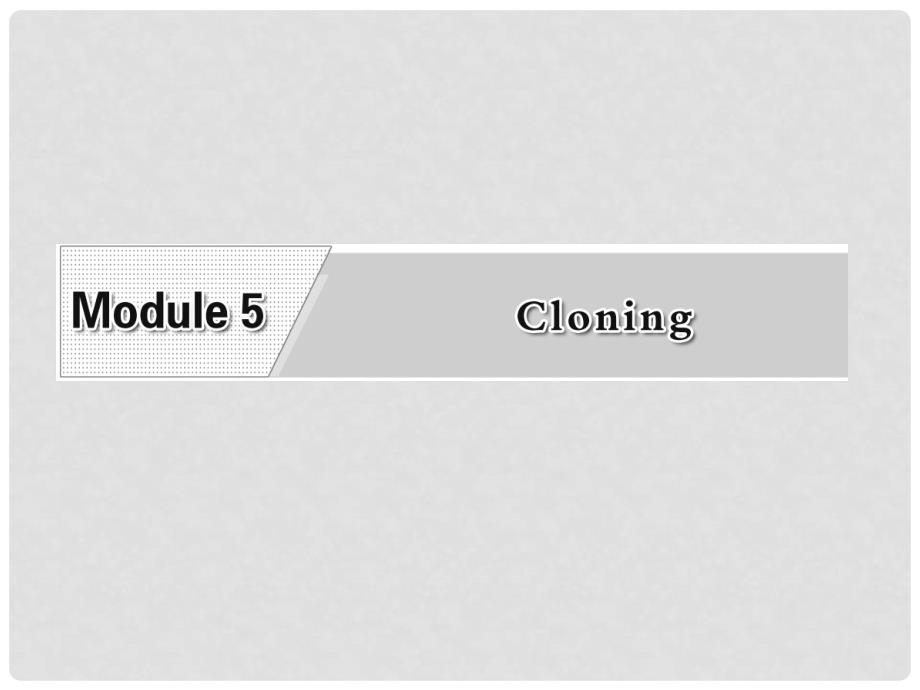 高中英语 Module 5 Section Ⅰ Introduction &amp; Reading Prereading课件 外研版选修6_第2页