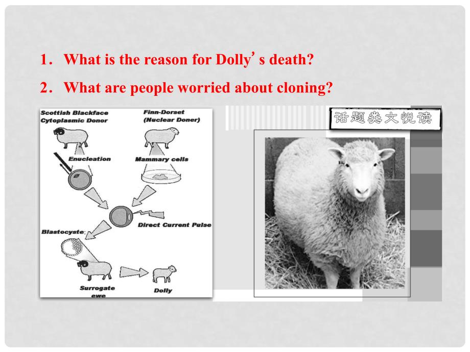 高中英语 Module 5 Section Ⅰ Introduction &amp; Reading Prereading课件 外研版选修6_第4页