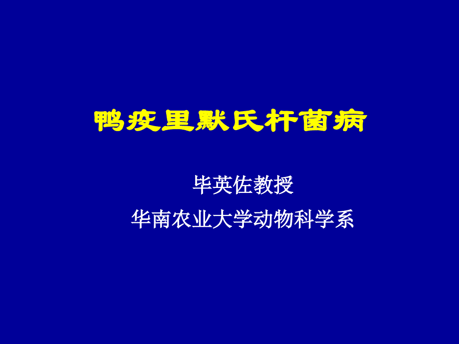 鸭疫里默氏杆菌病PPT课件_第1页