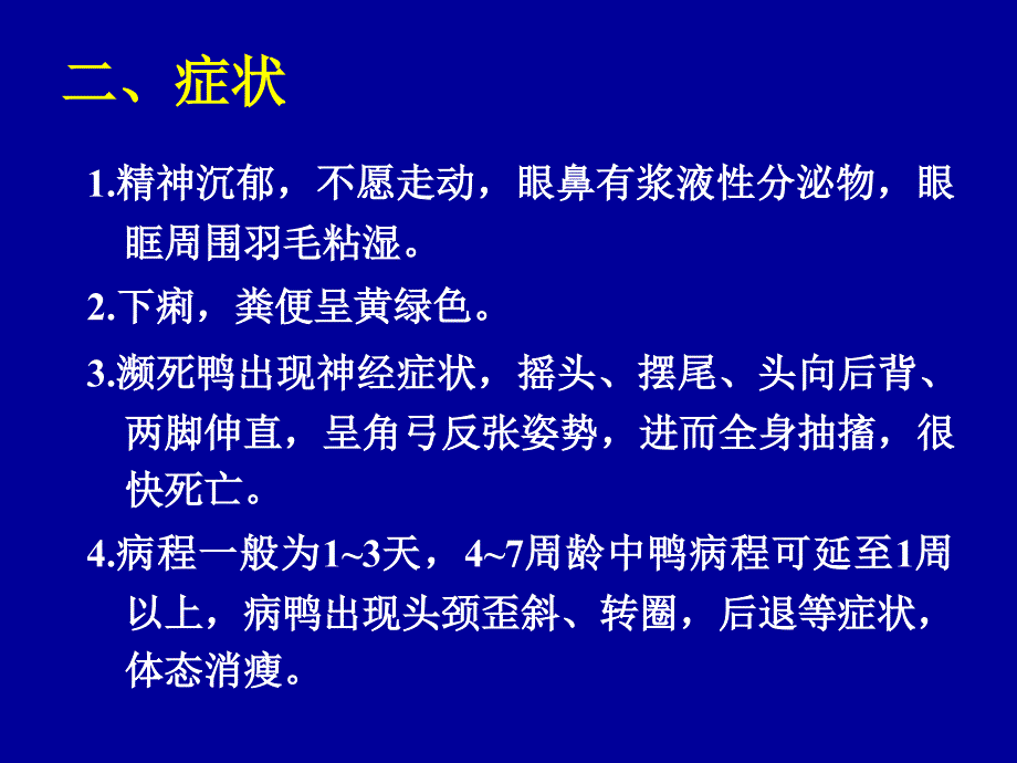 鸭疫里默氏杆菌病PPT课件_第4页