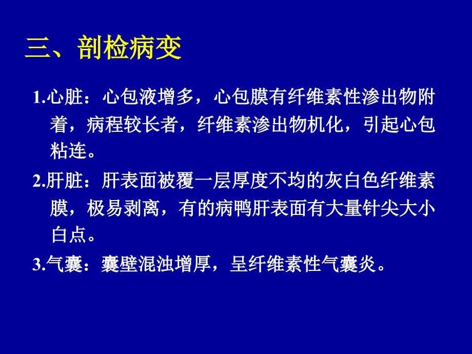 鸭疫里默氏杆菌病PPT课件_第5页