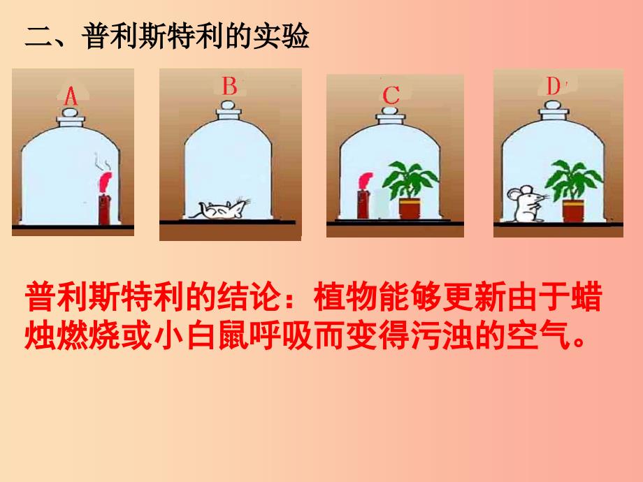 吉林省长春市七年级生物上册 第三单元 第五章 第一节 光合作用吸收二氧化碳释放氧气课件3 新人教版.ppt_第4页