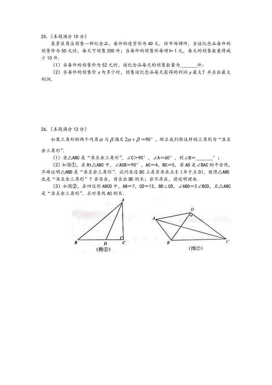 苏教版中考数学试题及答案解析(完整详细版).doc_第5页