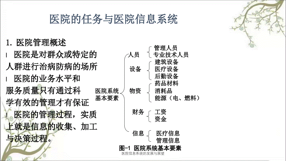 医院信息系统的发展与展望课件_第3页