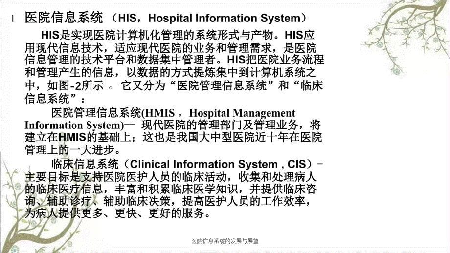 医院信息系统的发展与展望课件_第5页