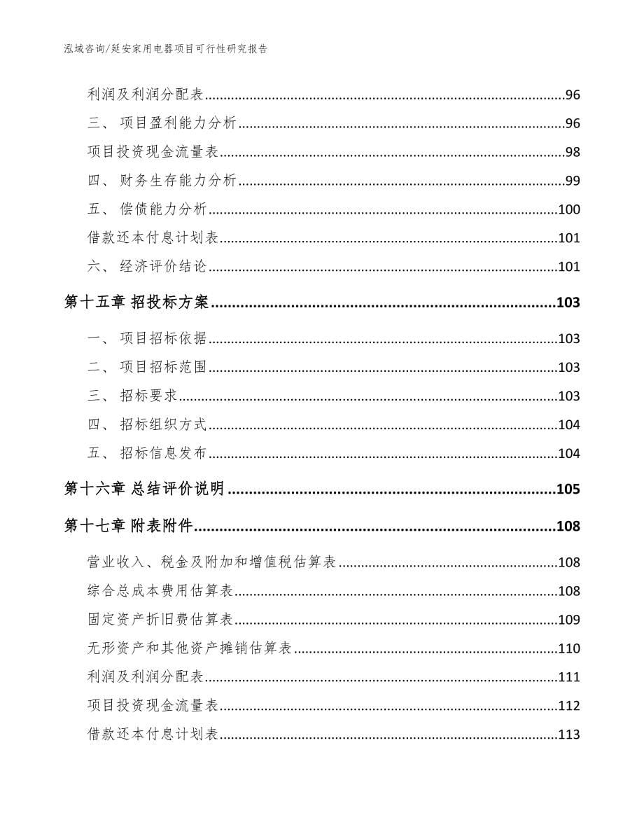 延安家用电器项目可行性研究报告_第5页