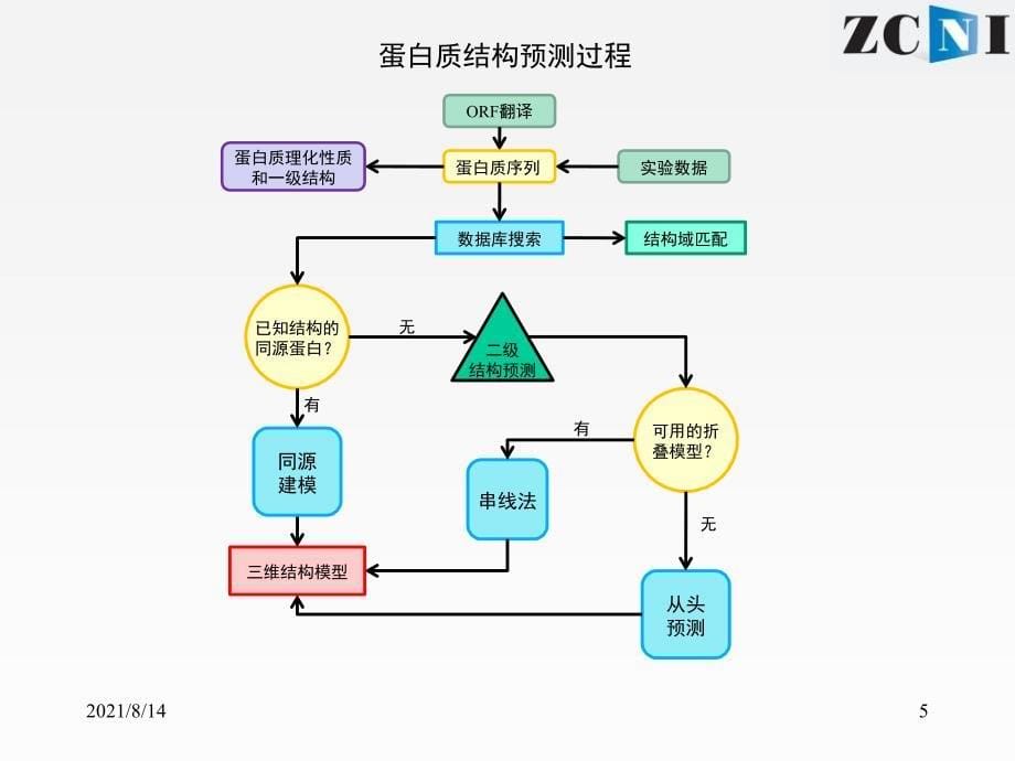 蛋白质结构与功能预测_第5页