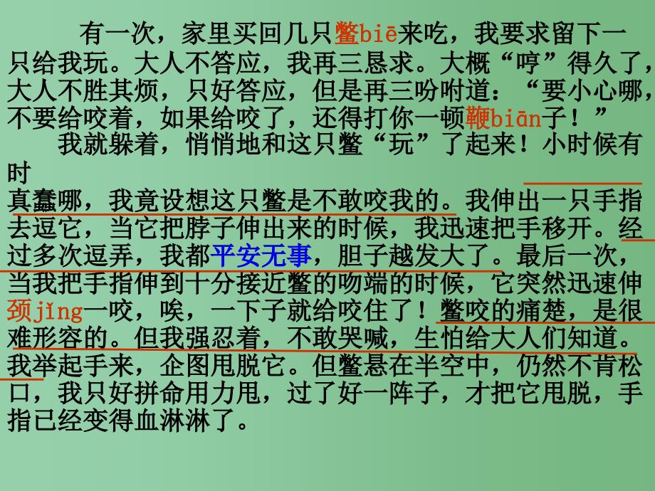 三年级语文下册第5单元21我喜欢小动物课件4沪教版_第3页