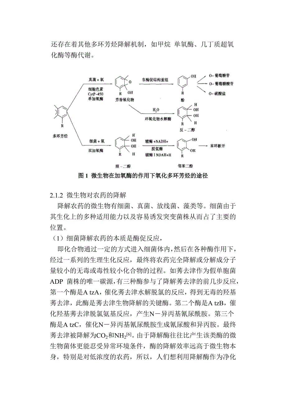 微生物对有机物的降解作用_第4页