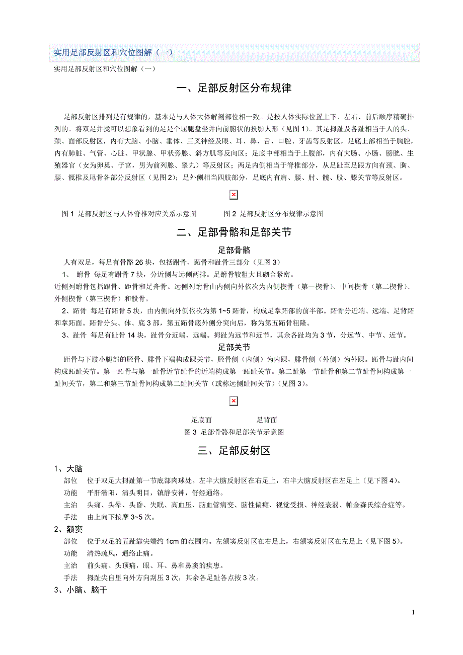 实用足部反射区和穴位图解(一)_第1页