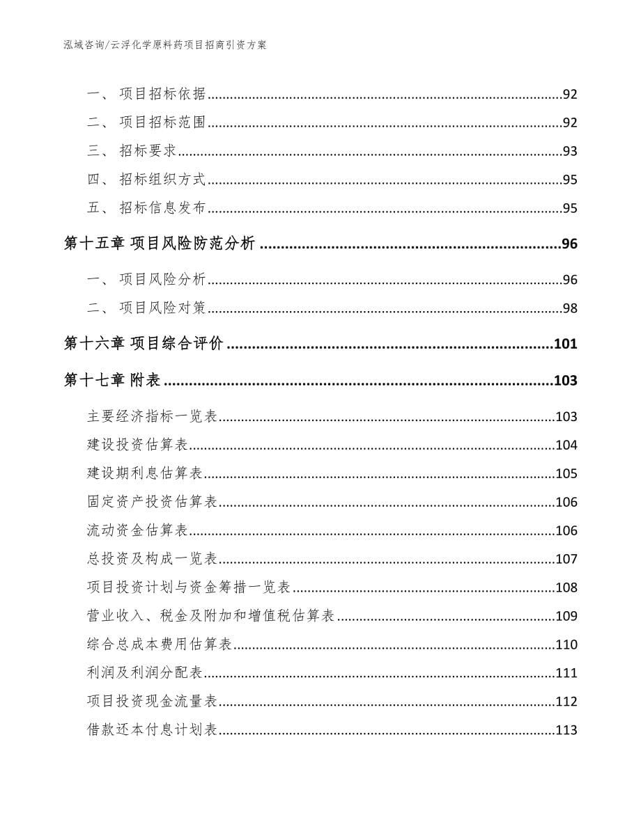 云浮化学原料药项目招商引资方案参考范文_第5页