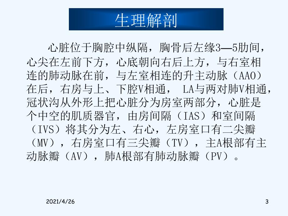 心脏超声诊断精品课件_第3页