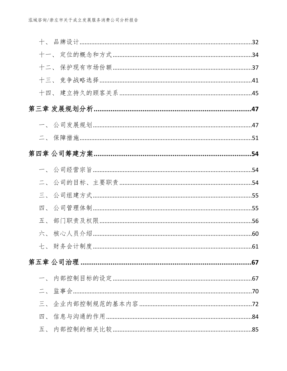 崇左市关于成立发展服务消费公司分析报告_模板范文_第3页